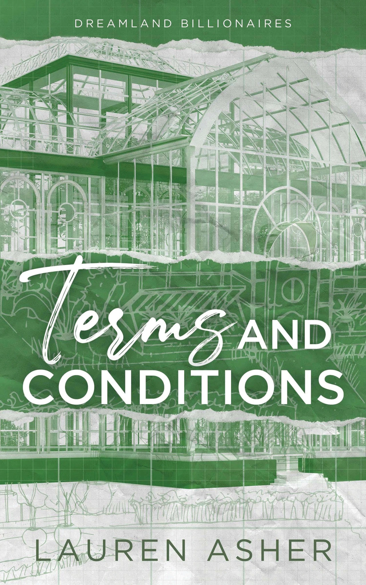 Terms and Conditions - book cover